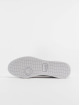 Lacoste Tennarit Carnaby Pro valkoinen
