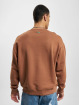 Lacoste trui Cotton Eco bruin