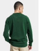 Lacoste Trøjer Basic grøn