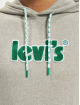 Levi's® Felpa con cappuccio Relaxed Graphic grigio
