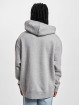 Levi's® Hupparit Relaxed Graphic harmaa