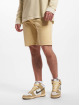 Levi's® shorts 501® Hemmed beige