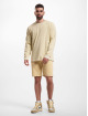Levi's® shorts 501® Hemmed beige