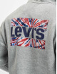 Levi's® Zip Hoodie Graphic grau