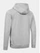 Lonsdale London Hoodies con zip Dittisham grigio