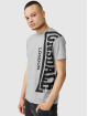 Lonsdale London T-Shirt Holyrood gris
