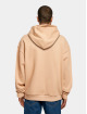 Lost Youth Sweat capuche Money V.1 beige