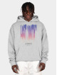 Lost Youth Sweat capuche Icon V.3 gris