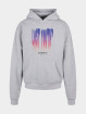 Lost Youth Sweat capuche Icon V.3 gris