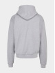 Lost Youth Sweat capuche Icon V.3 gris