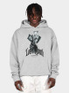 Lost Youth Sweat capuche Money V.1 gris