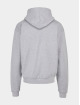 Lost Youth Sweat capuche Money V.1 gris