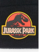 Merchcode Beanie Jurassic Park Logo black