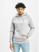 Mister Tee Hoodie Compton grey