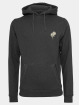 Mister Tee Sweat capuche Wasted Youth gris