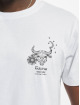Mister Tee T-paidat Astro Taurus valkoinen