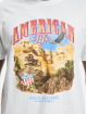 Mister Tee T-skjorter American Life Mount Roushmore hvit