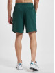 New Balance Short Essentials Fleece vert