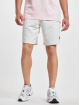 New Balance shorts Essentials Fleece grijs