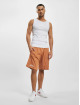 New Era Shorts Pinstripe marrone