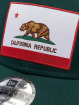 New Era Snapback Cap US State 9Forty grün