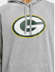 New Era Sweat capuche Team Logo Green Bay Packers gris