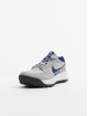 Nike Baskets Acg Lowcate gris