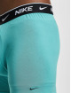 Nike Boxershorts Brief 2 Pack bunt