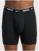 Nike Boxershorts Brief 2 Pack bunt