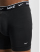 Nike Boxershorts Brief 2 Pack bunt