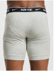 Nike Boxershorts Brief 2 Pack bunt
