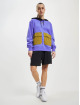 Nike Hoody W NSW Carg paars