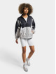 Nike Lightweight Jacket Nsw grey