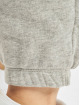 Nike Pantalón deportivo Essntl Fleece gris