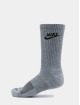 Nike Ponožky Everyday Plus Cush Crew 2 Pack šedá