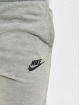 Nike Short AA gris