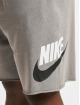 Nike Shorts Club Ft Alumni grau