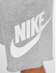 Nike Shorts M Nsw He grå