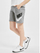 Nike Shorts Club HBR grå
