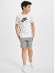 Nike Shorts AA grå