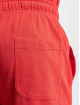 Nike Shorts Club rot