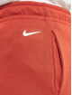 Nike Shorts Print rot