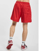Nike Shorts Woven Land Flow rot
