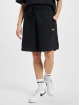 Nike Shorts Shorts schwarz