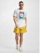 Nike Shorts Nsw Spe Woven Land Flow variopinto