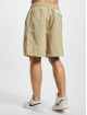 Nike Shortsit 195868386875 beige