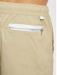 Nike Shortsit 195868386875 beige