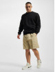 Nike Shortsit 195868386875 beige