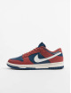Nike Sneaker Dunk Low rot