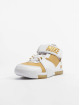 Nike sneaker Zoom Lebron Ii wit